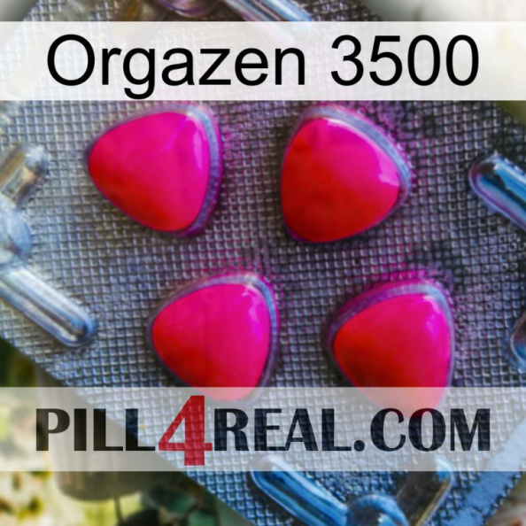 Orgazen 3500 13